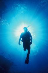 Silhouette of my dive buddy. Taken with a Nikonos V, 15mm... by Mike Smith 